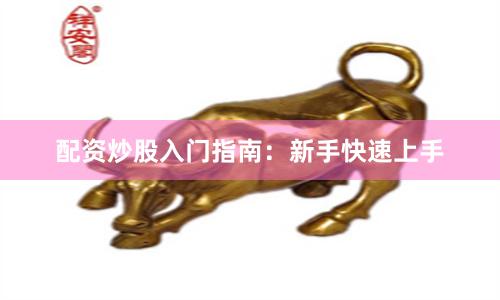 配资炒股入门指南：新手快速上手