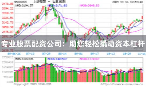 专业股票配资公司：助您轻松撬动资本杠杆