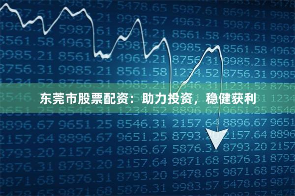 东莞市股票配资：助力投资，稳健获利